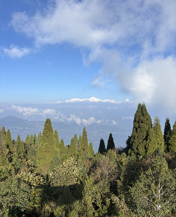 Kanchenjunga View